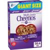image:imageMulti Grain Cheerios Heart Healthy Breakfast Cereal Large Size 12 oz206 Ounce Pack of 1